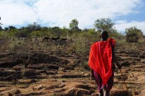 Maasaai Mara