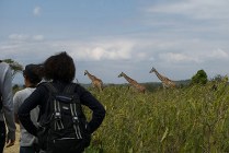 Arusha NP -wandelsafari, aug 2009